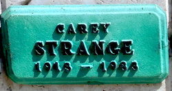 Carey Minnette Strange 