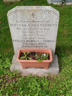 Bertram James Stibbons 