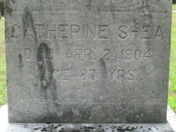 Catherine Shea 