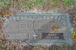 Andrew A Euler 