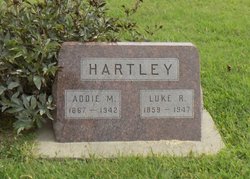 Luke R Hartley 