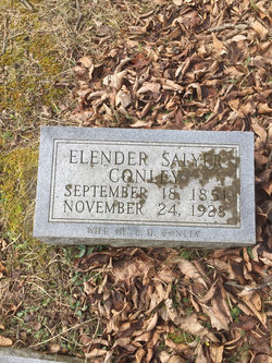 Ellender H. Ellen <I>Salyer</I> Conley 