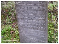 Mary Euphemia <I>Williams</I> Williams 