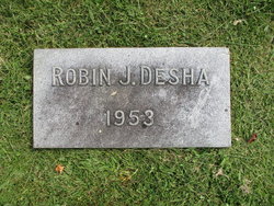 Robin J Desha 