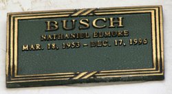 Nathaniel Elmore Busch 