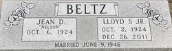 Lloyd S. Beltz 