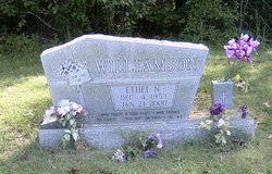 Ethel N Williamson 