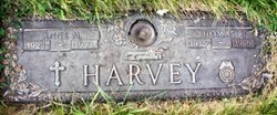 Anne M. Harvey 