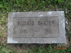 Musa <I>Stocking</I> Barton 