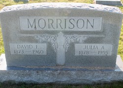David F Morrison 