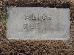 Alyce M Clem 