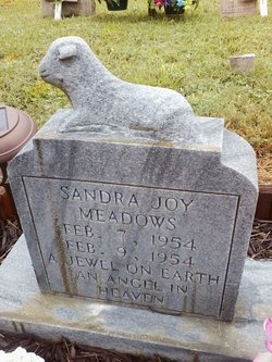Sandra Joy Meadows 