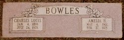 Charles Louis Bowles 