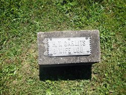 Lou Garlitz 