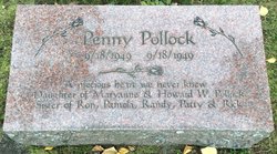 Penny Pollock 