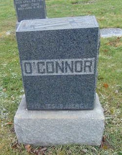 Timothy O'Connor 