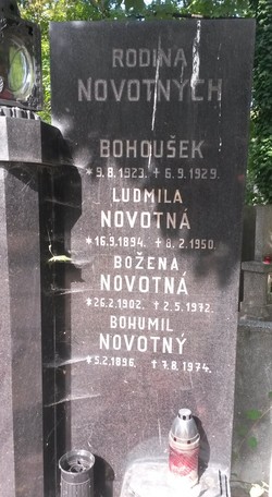 Bohousek Novotny 