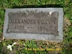 Alexander Wilcox 