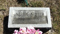 Nettie Alice <I>Campbell</I> Reed 