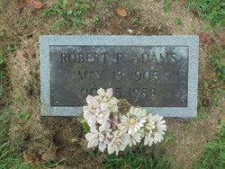 Robert P Adams 