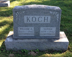 Sophia Koch 