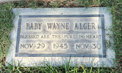 Wayne Alger 