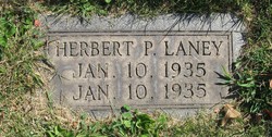 Herbert P Laney 