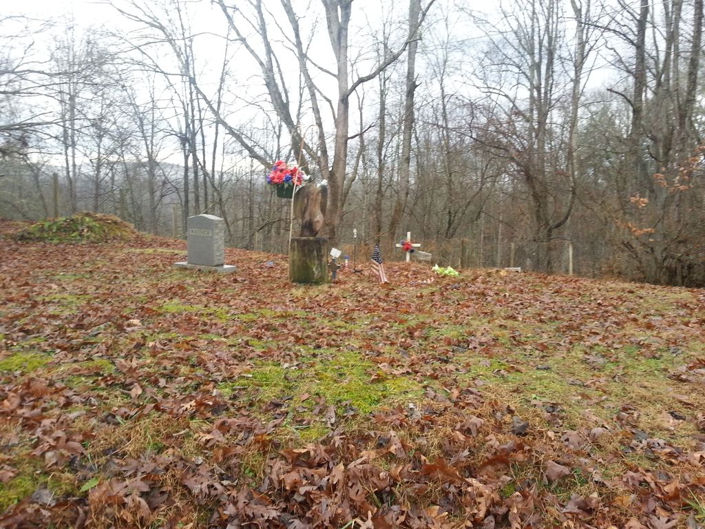 Rasnick Family Cemetery on Lyall Ridge