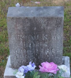 Francis Marion Hayes 