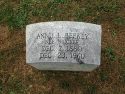 Annie E <I>Bricker</I> Beekey 