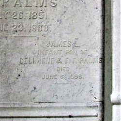 James Louis Palms 