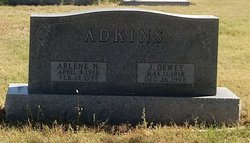 Arlene N. Adkins 