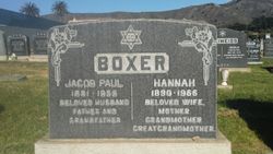 Jacob Paul Boxer 