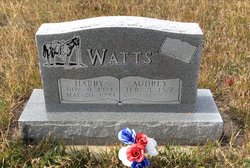 Harry James Watts 