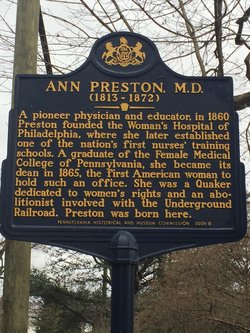 Dr Ann Preston 