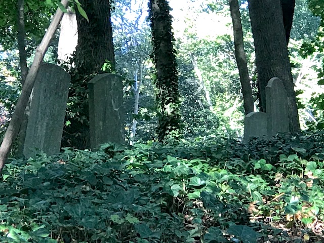 Tilley Cemetery