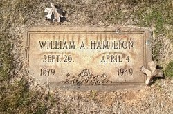 William Adam Hamilton 