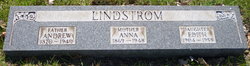 Andrew Lindstrom 