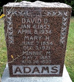 David D. Adams 