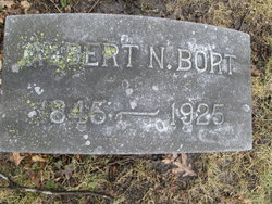 Albert N Bort 
