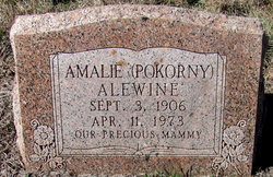 Amalie <I>Pokorny</I> Alewine 