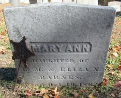 Mary Ann Barnes 