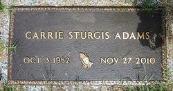 Carrie Louise <I>Sturgis</I> Adams 