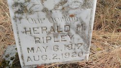 Herald M Ripley 