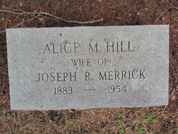 Alice M. <I>Hill</I> Merrick 