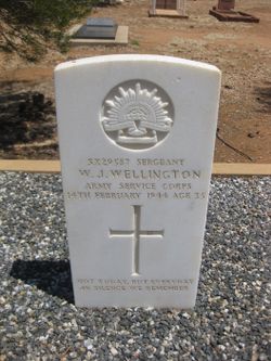 William John Wellington 