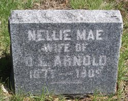 Nellie Mae <I>Hitchon</I> Arnold 