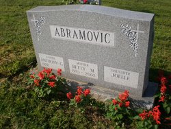 Anthony G Abramovic 
