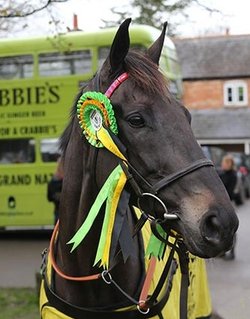 Many Clouds 