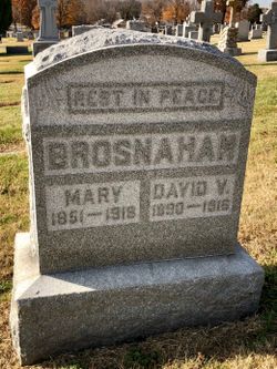 Mary Ann <I>Reidy</I> Brosnahan 